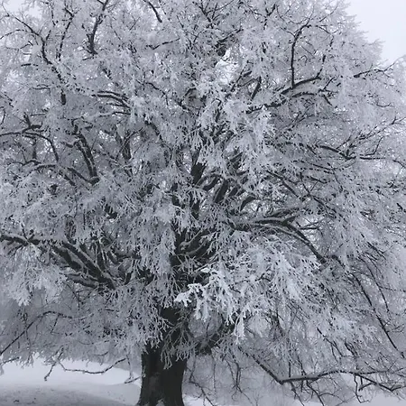 Luettich 아파트 Etmissl