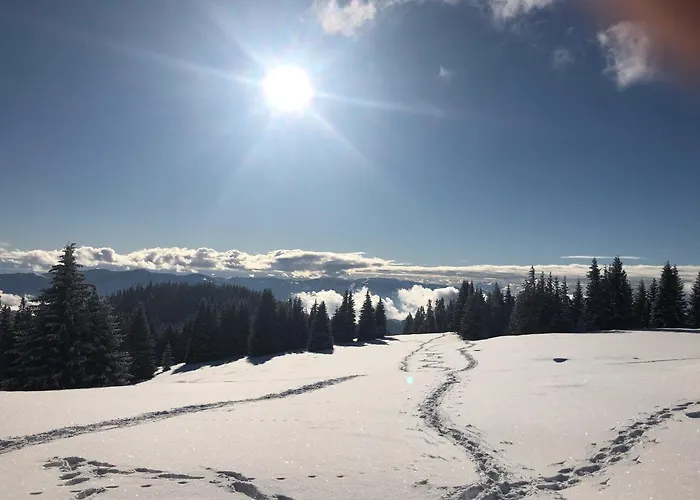 Luettich Apartman Etmissl