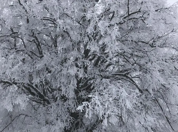 Luettich Apartman Etmissl